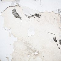 Lead Paint Lead Paint