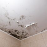 Black mold and mildew spots on the ceiling or wall due to poor air ventilation and high humidity. Harm to health.